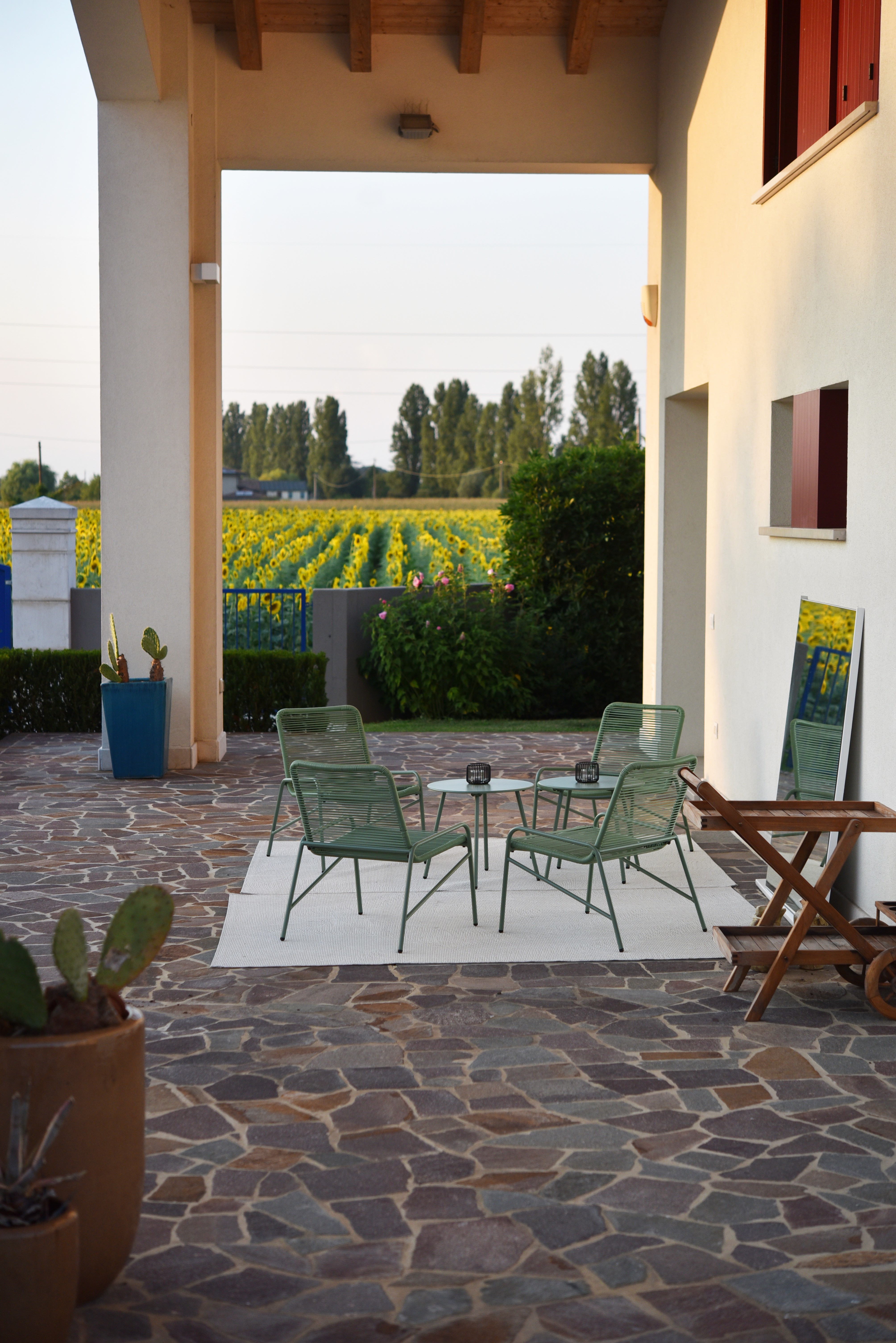 immagine di una zona relax di fronte ai campi di girasoli