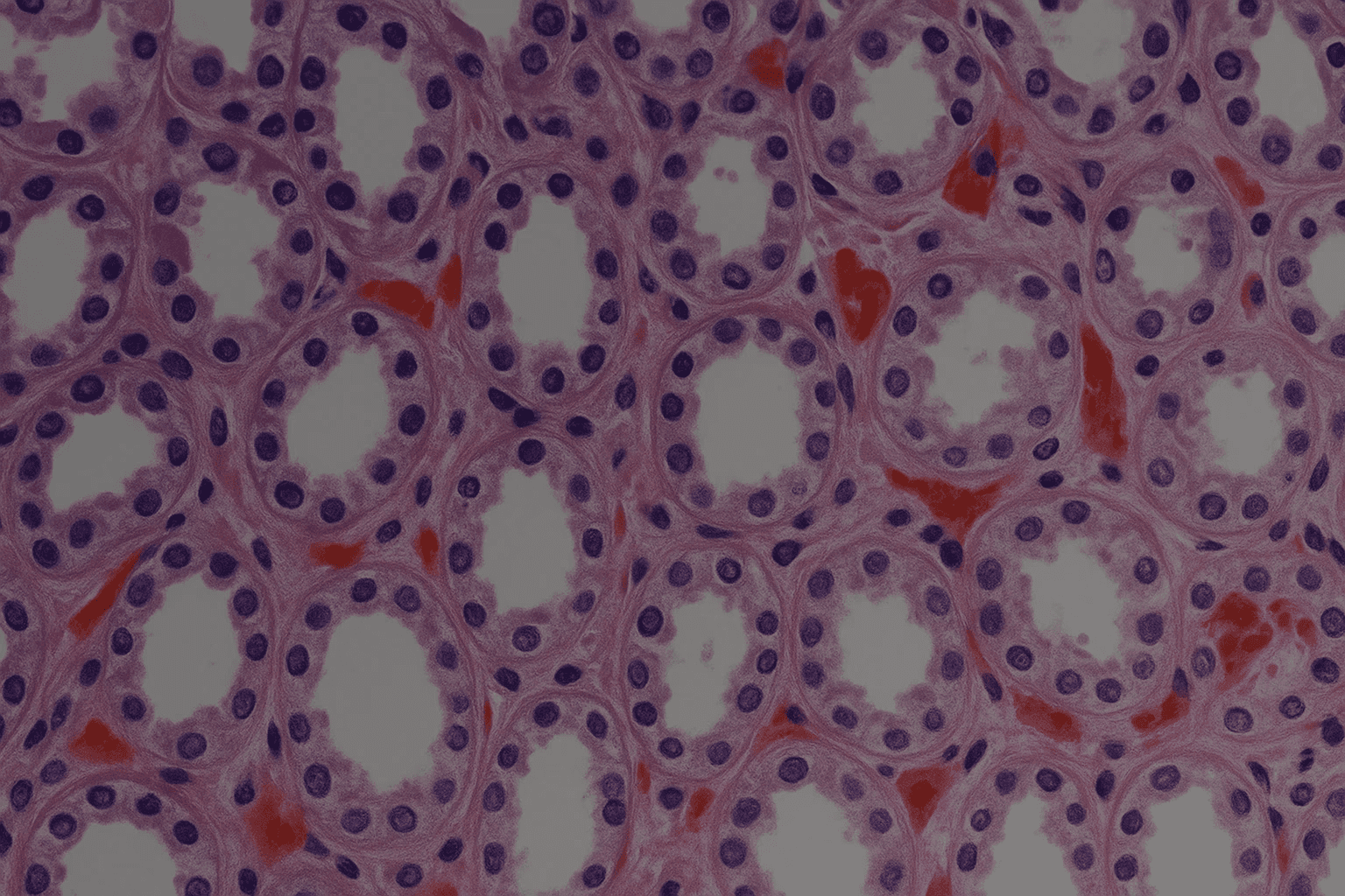 Our services hero image