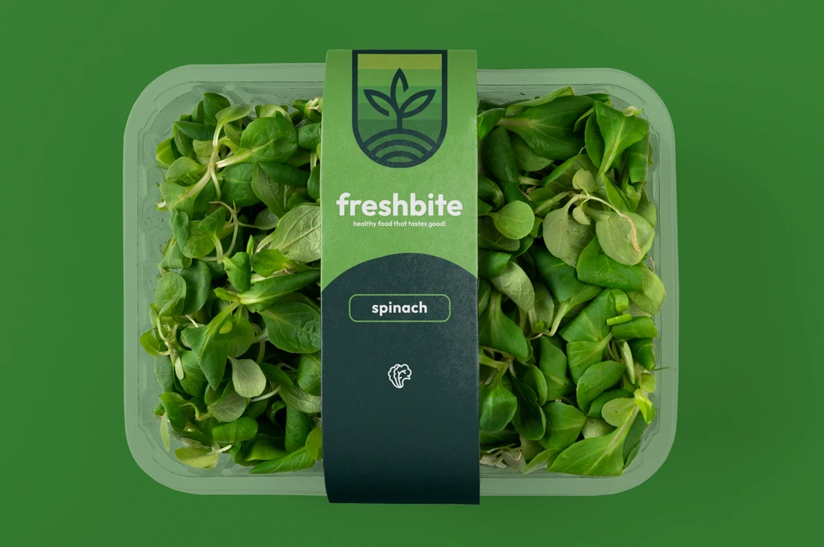 Freshbite Meal Kit Brand Identity Design