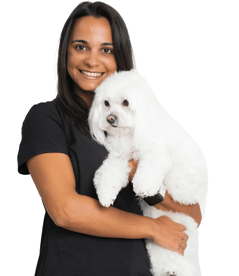Dr. Inês Gomes: Veterinary Surgeon