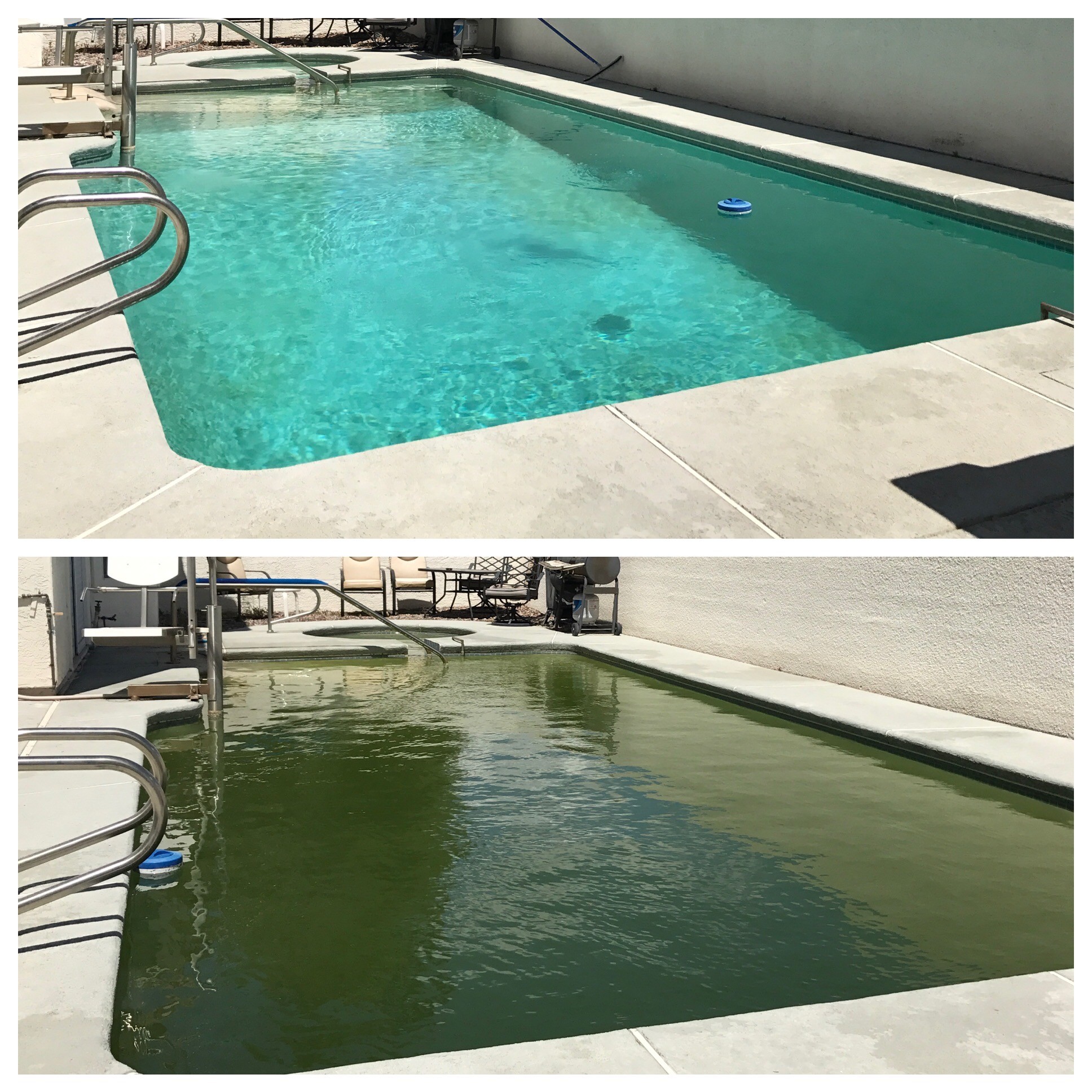 Automatic pool cleaner operating during routine pool maintenance in Tampa, FL