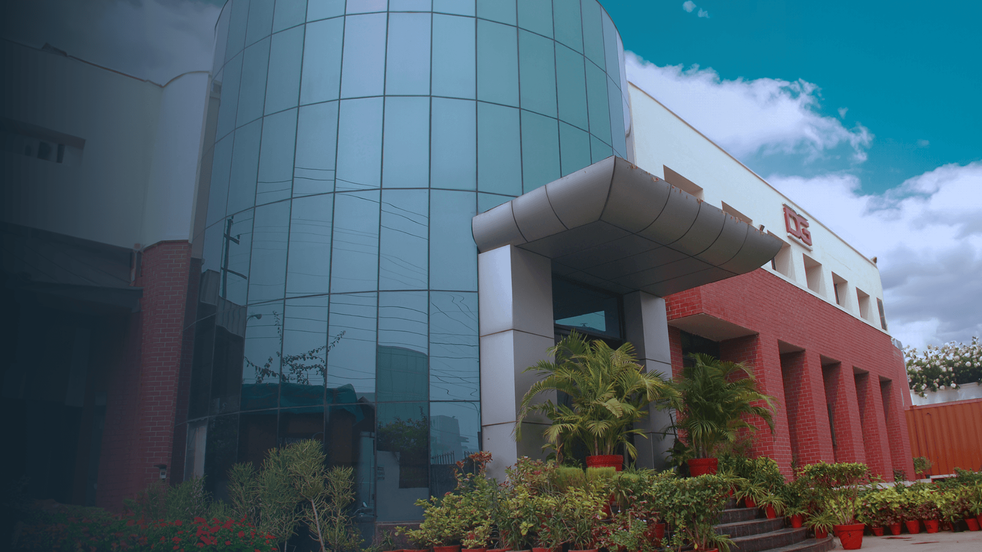 woman holding a phone and man looking at the phone. both are smiling