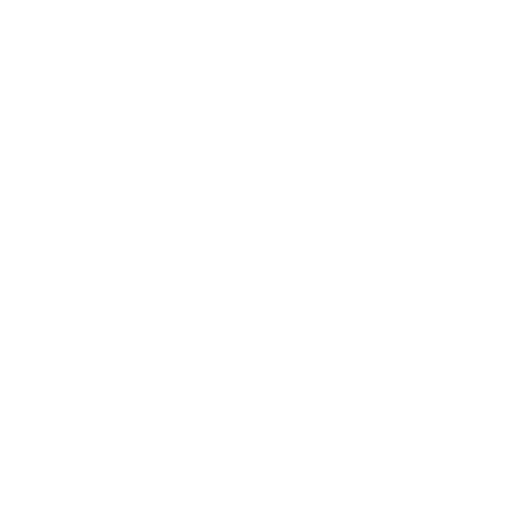 Core Icon