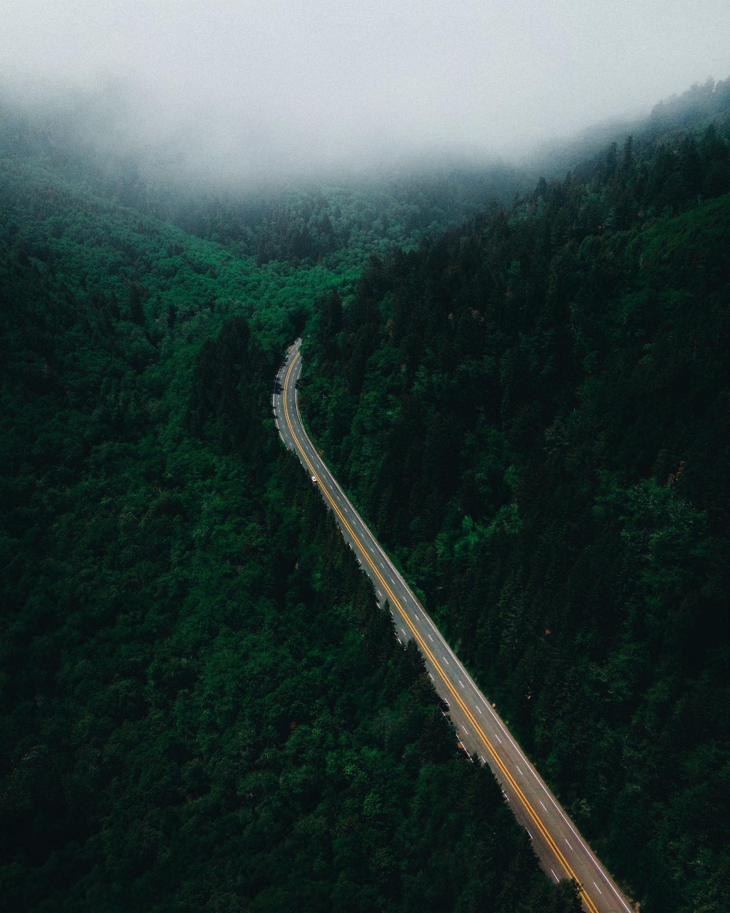 Aerial view of a winding road cutting through a dense, fog-covered forest.