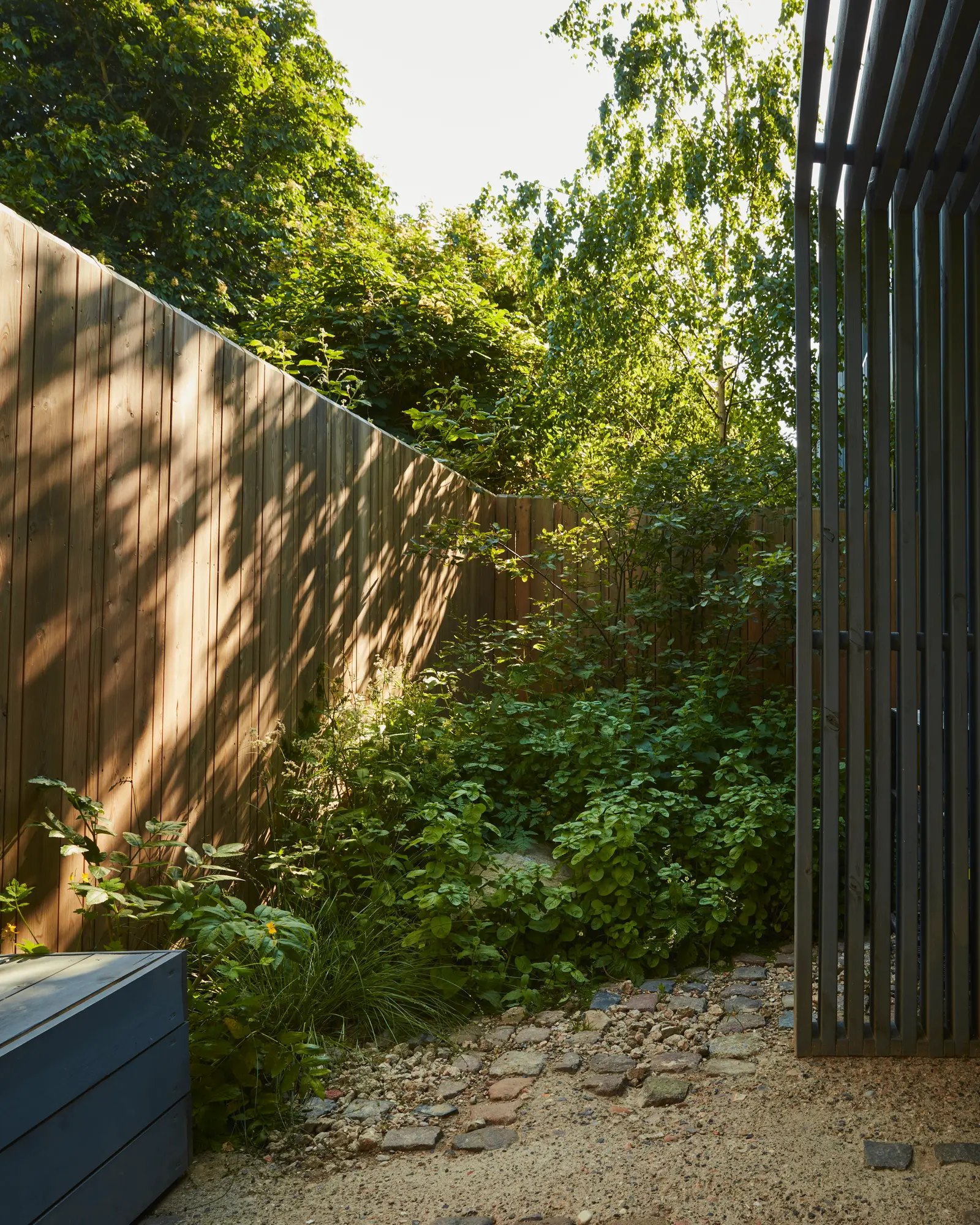Lush greenery surrounds a stone wall and path in a serene outdoor space, illuminated by soft natural light.