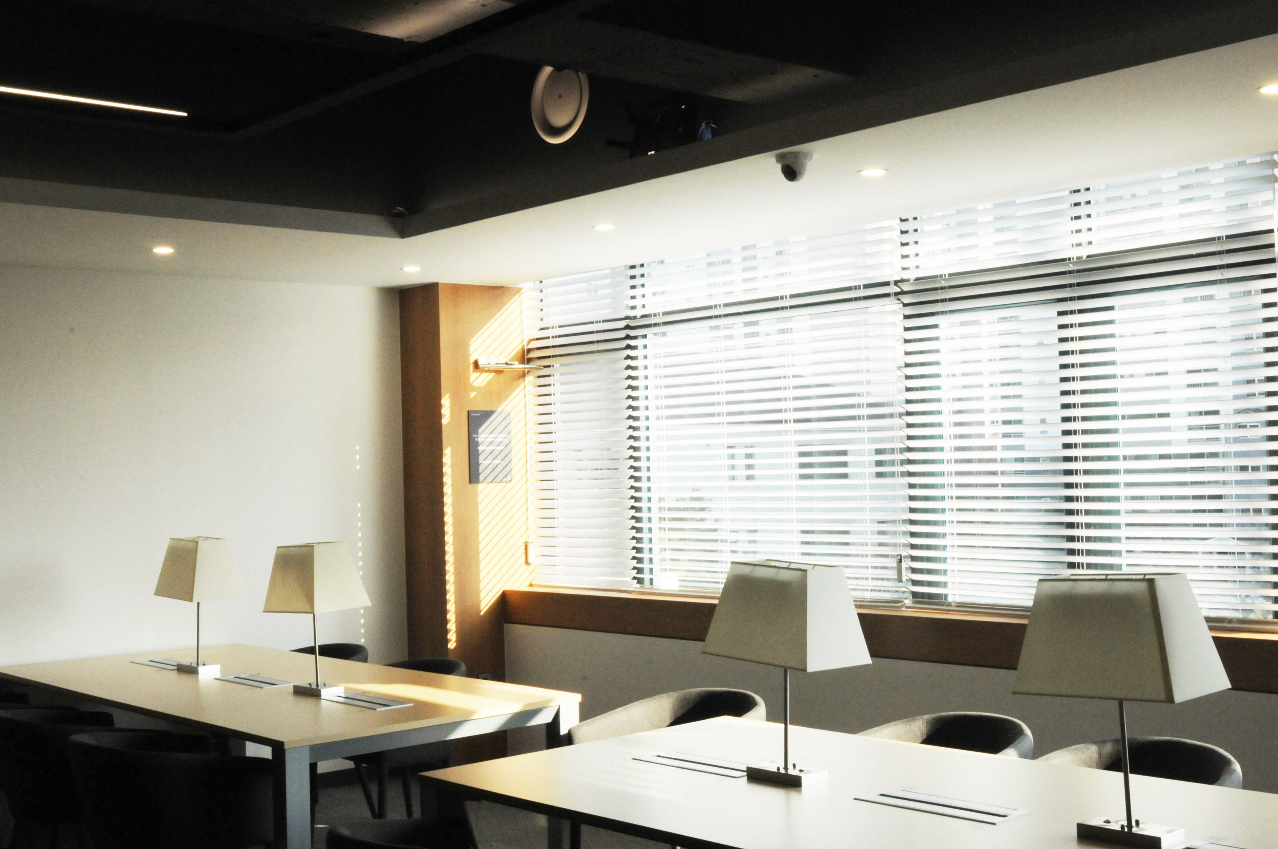 people doing office works