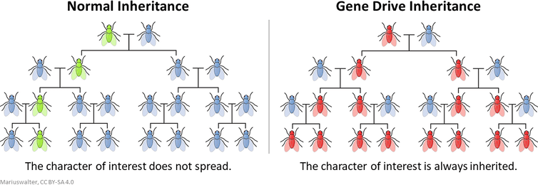  /><figcaption><span class=