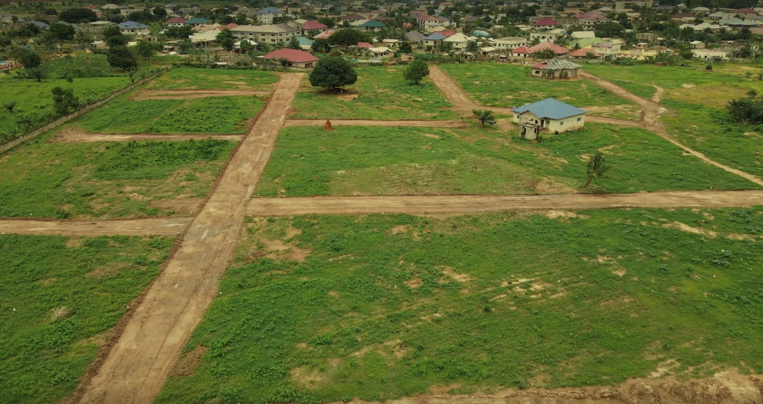 catergory-backgrounds