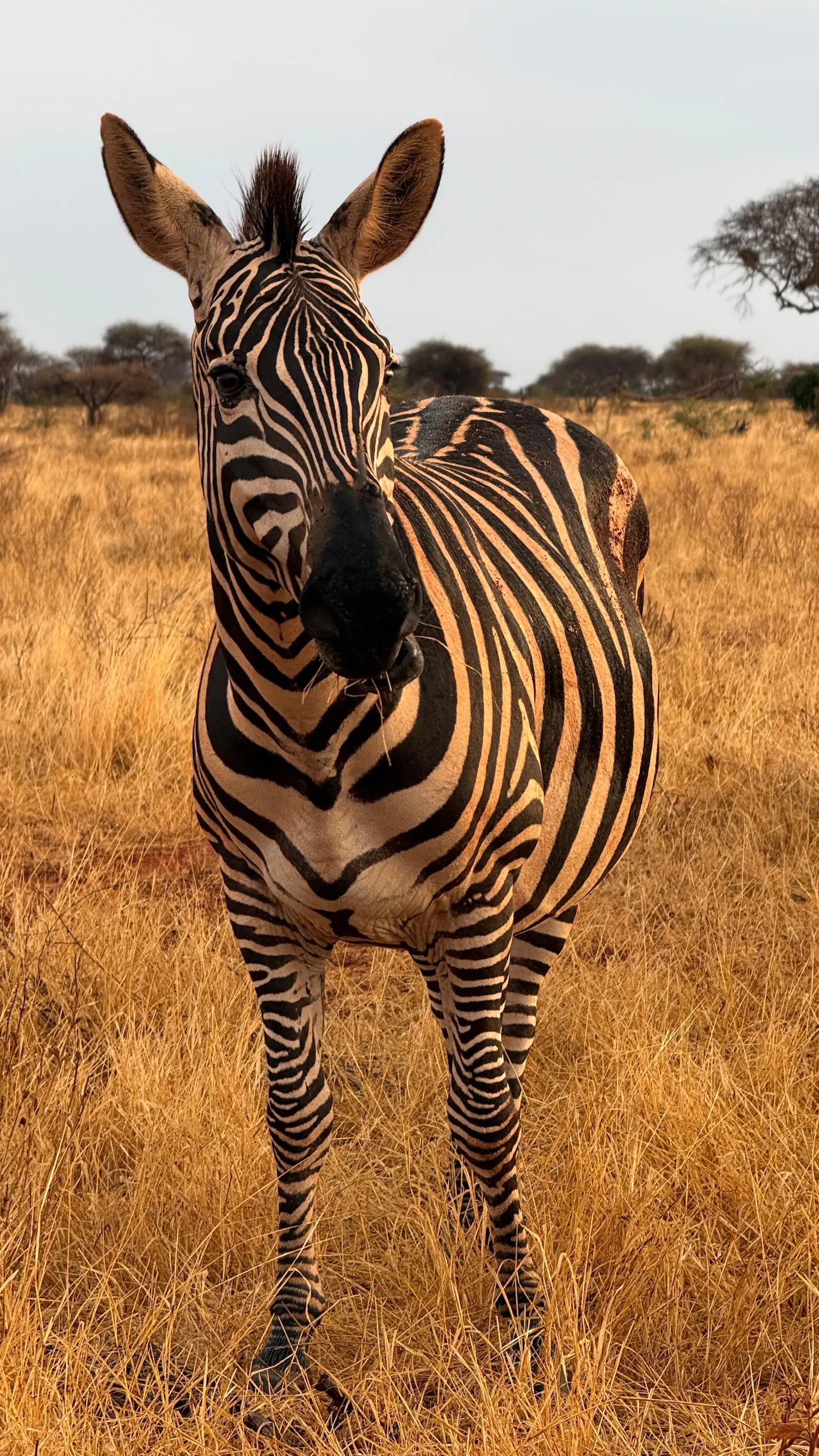 Usahili Tour in Kenya