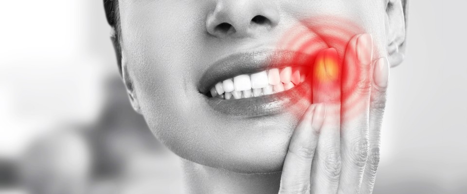 Close-up view of a dental model showing teeth with crowns.