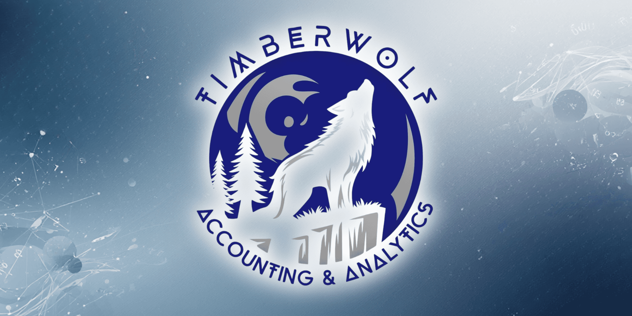 Small business bookkeeping risks, financial reporting weaknesses, accounting software limitations, ledger inaccuracies, and cash flow blind spots in modern digital accounting systems.