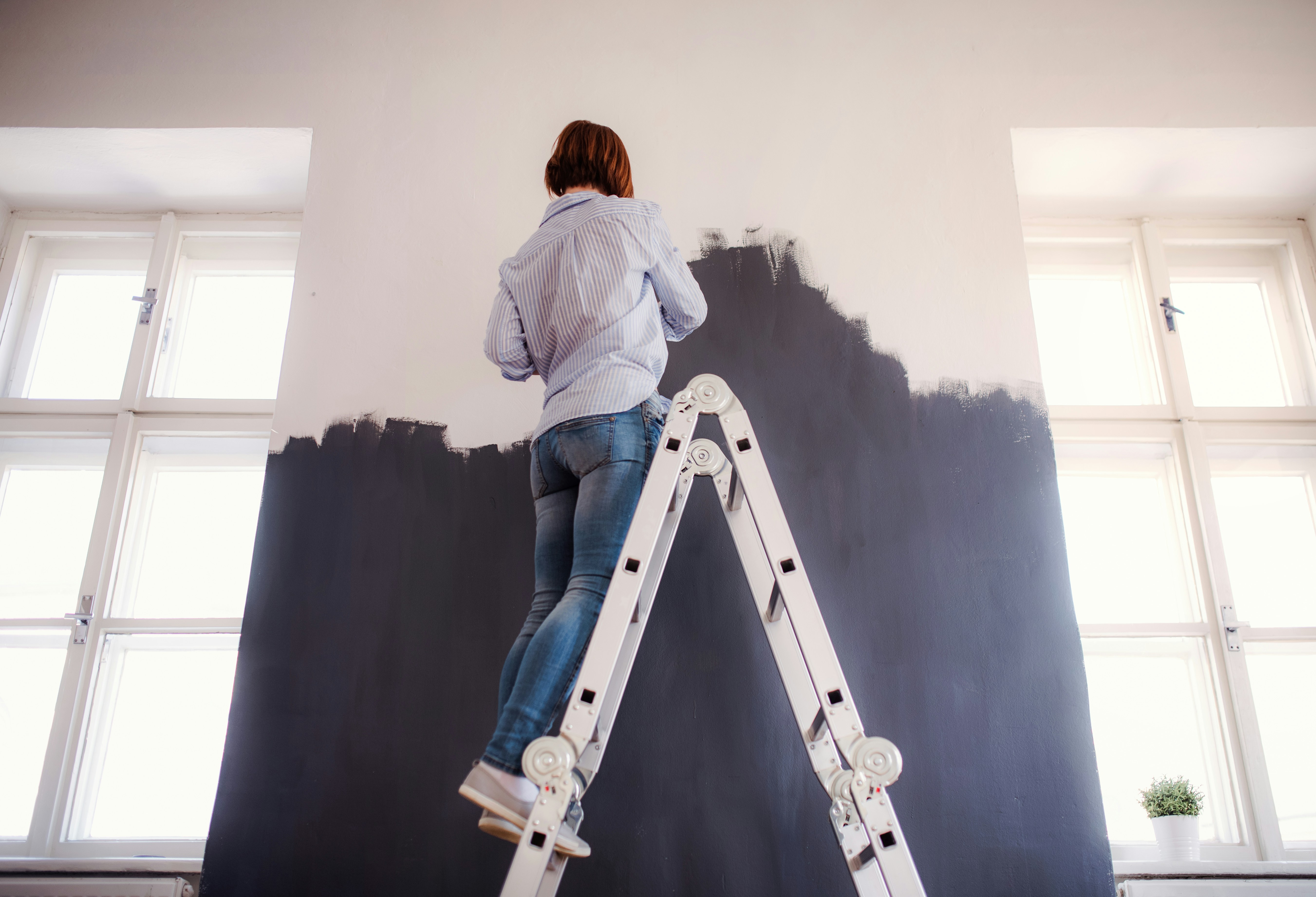 Expert House Painting Services in Everett