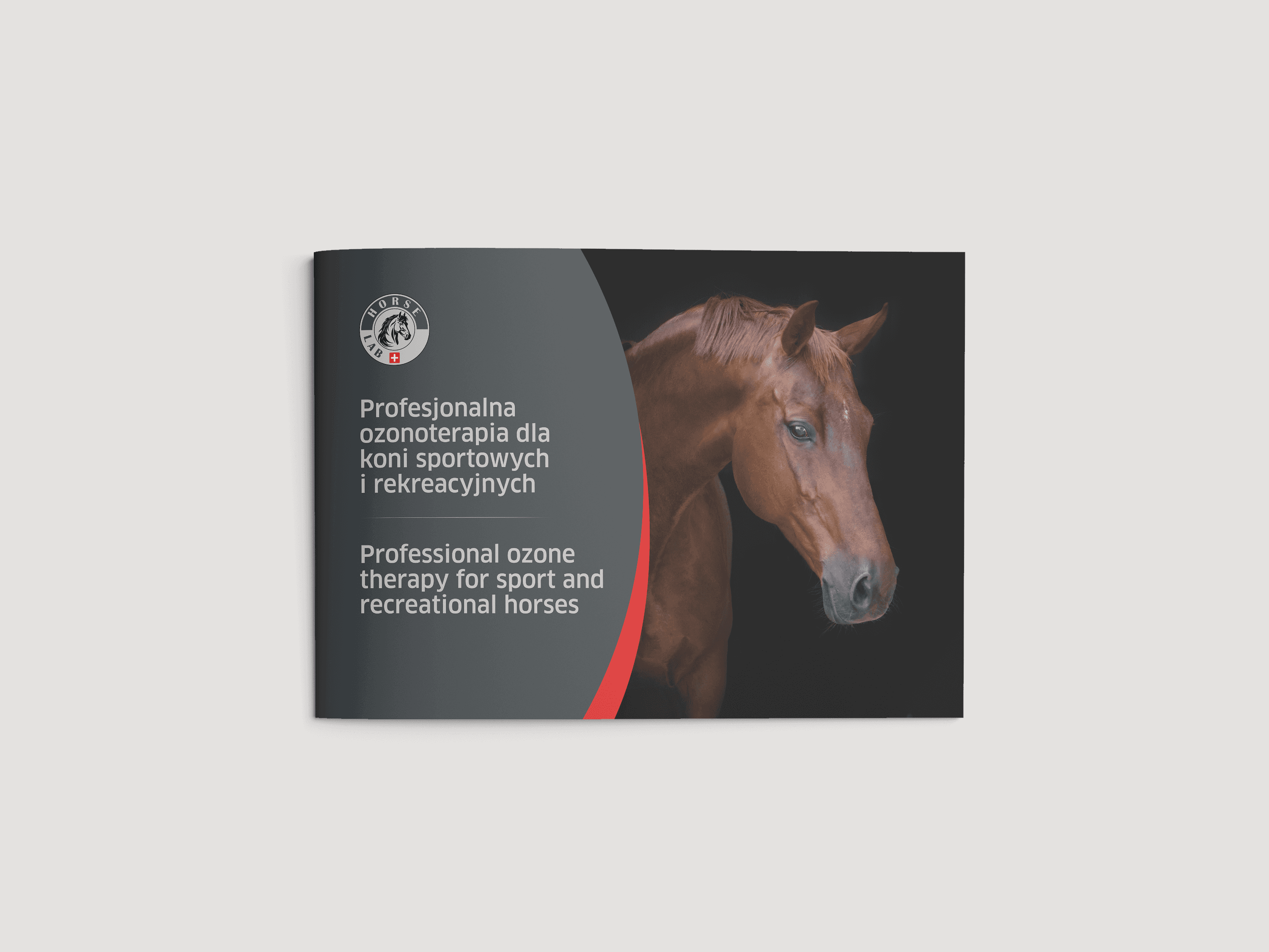 okładka broszury o tematyce sprzętu dla koni