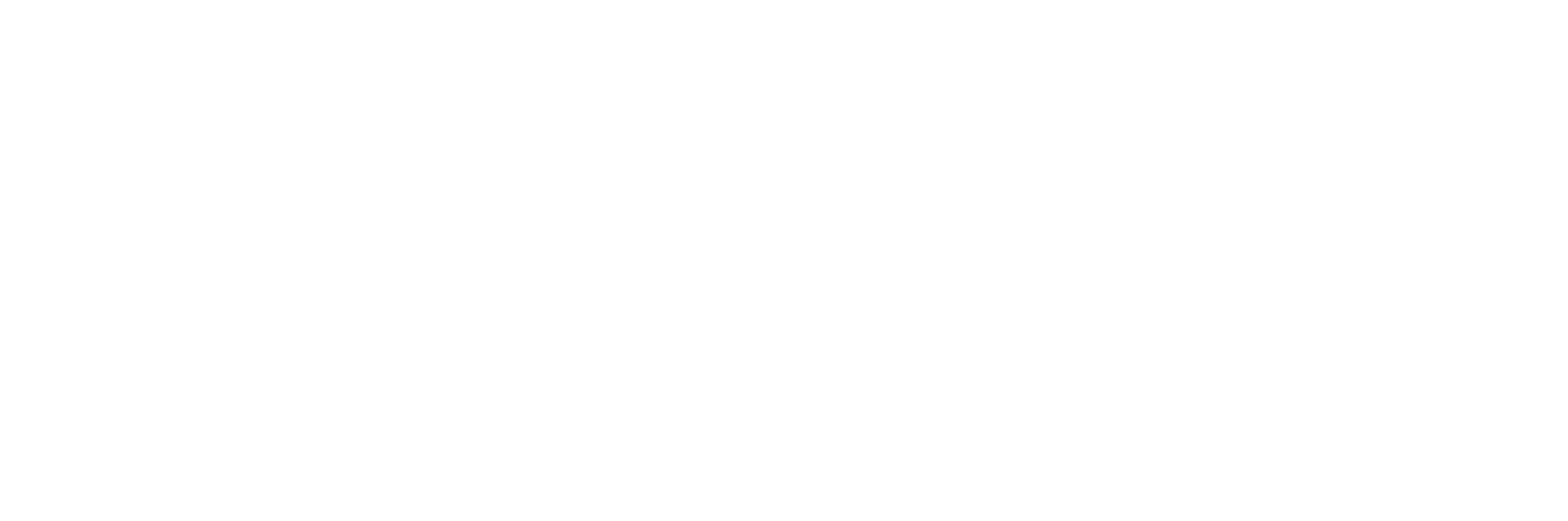 logo petra coacht wit