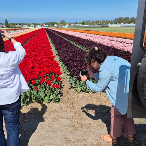 Foto di ladang tulip