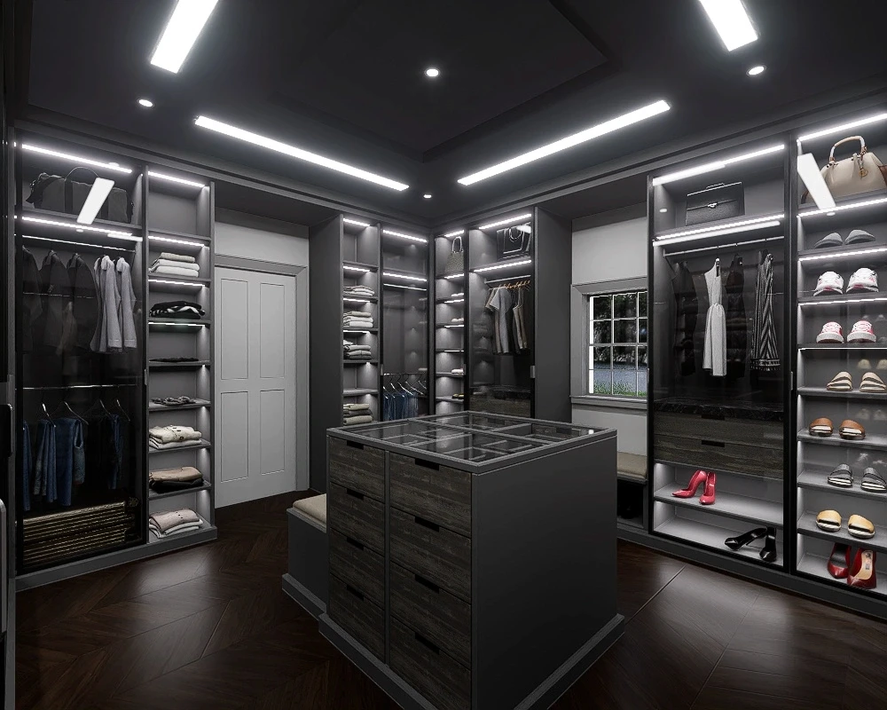 Modern closet render