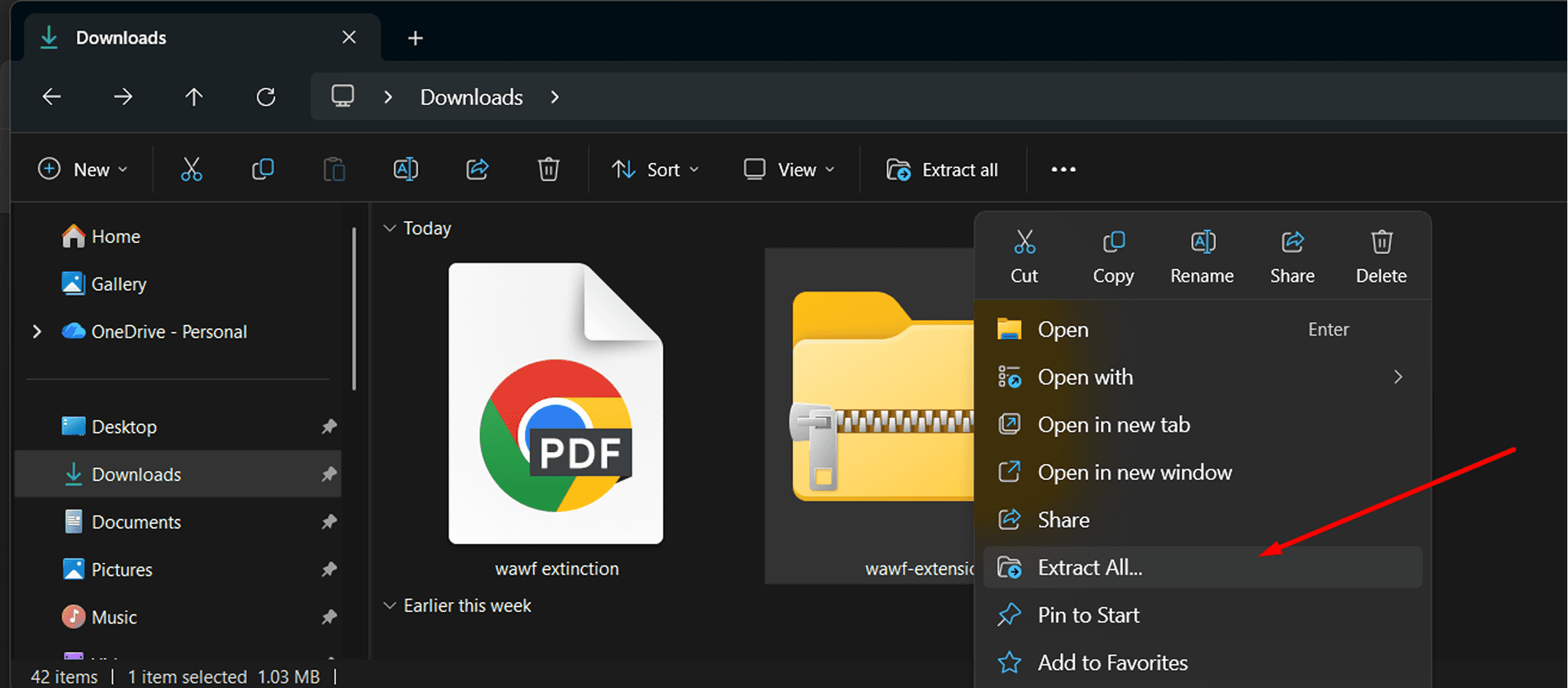 Extract the ZIP Folder