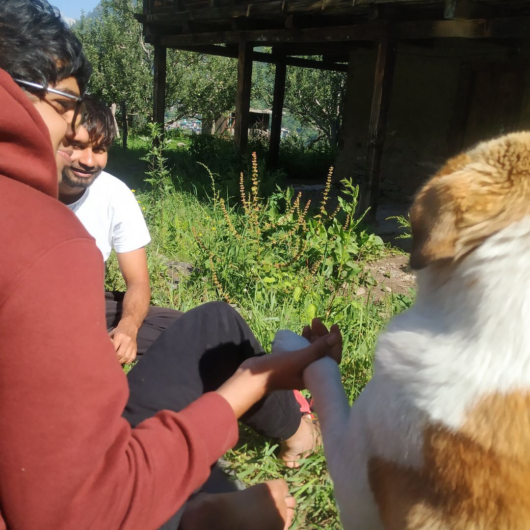 people sitting down near table with assorted laptop computers