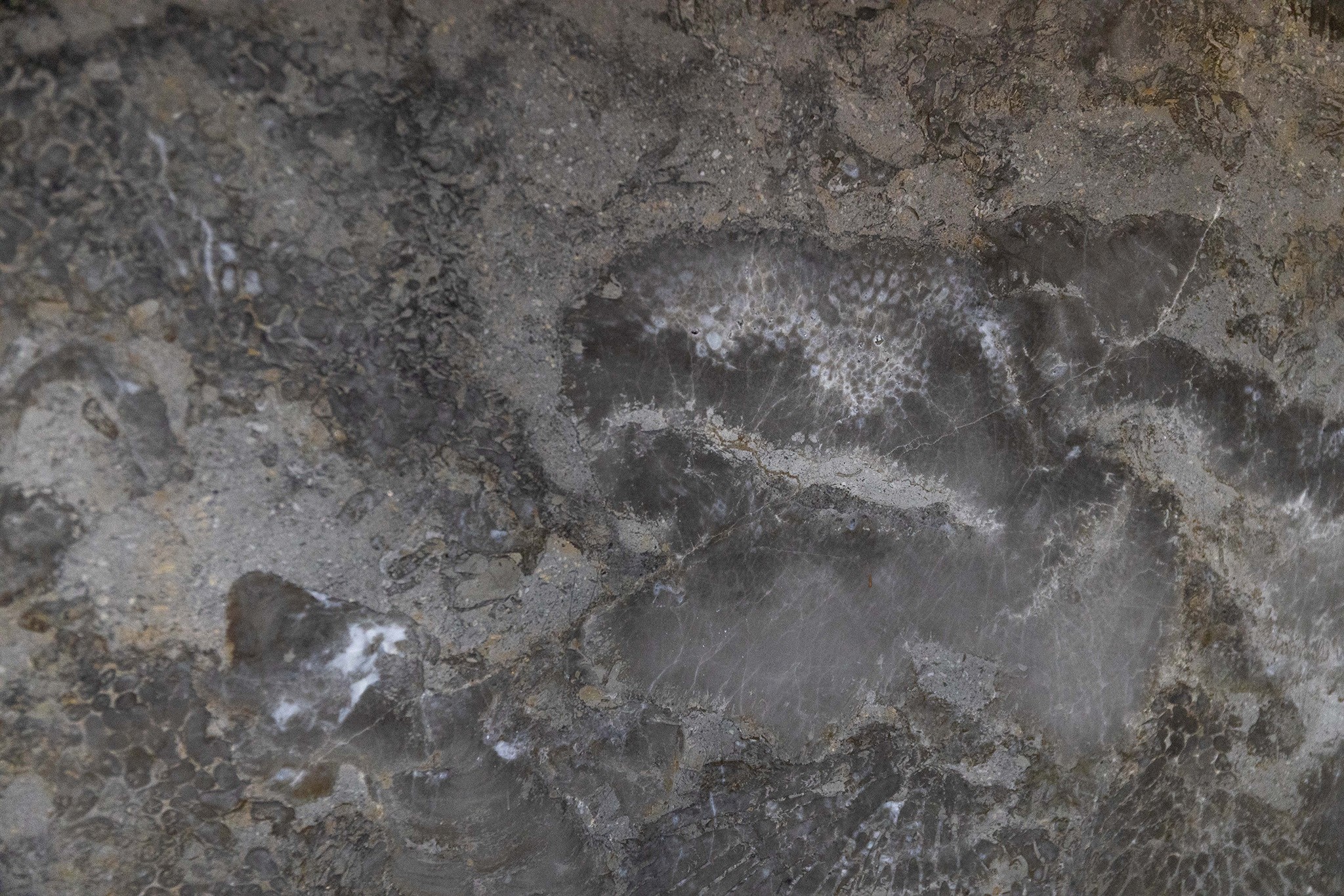 Ivory Cream Naturstein mit feiner Struktur