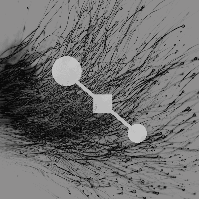 Dmitry Novikov Unsplash