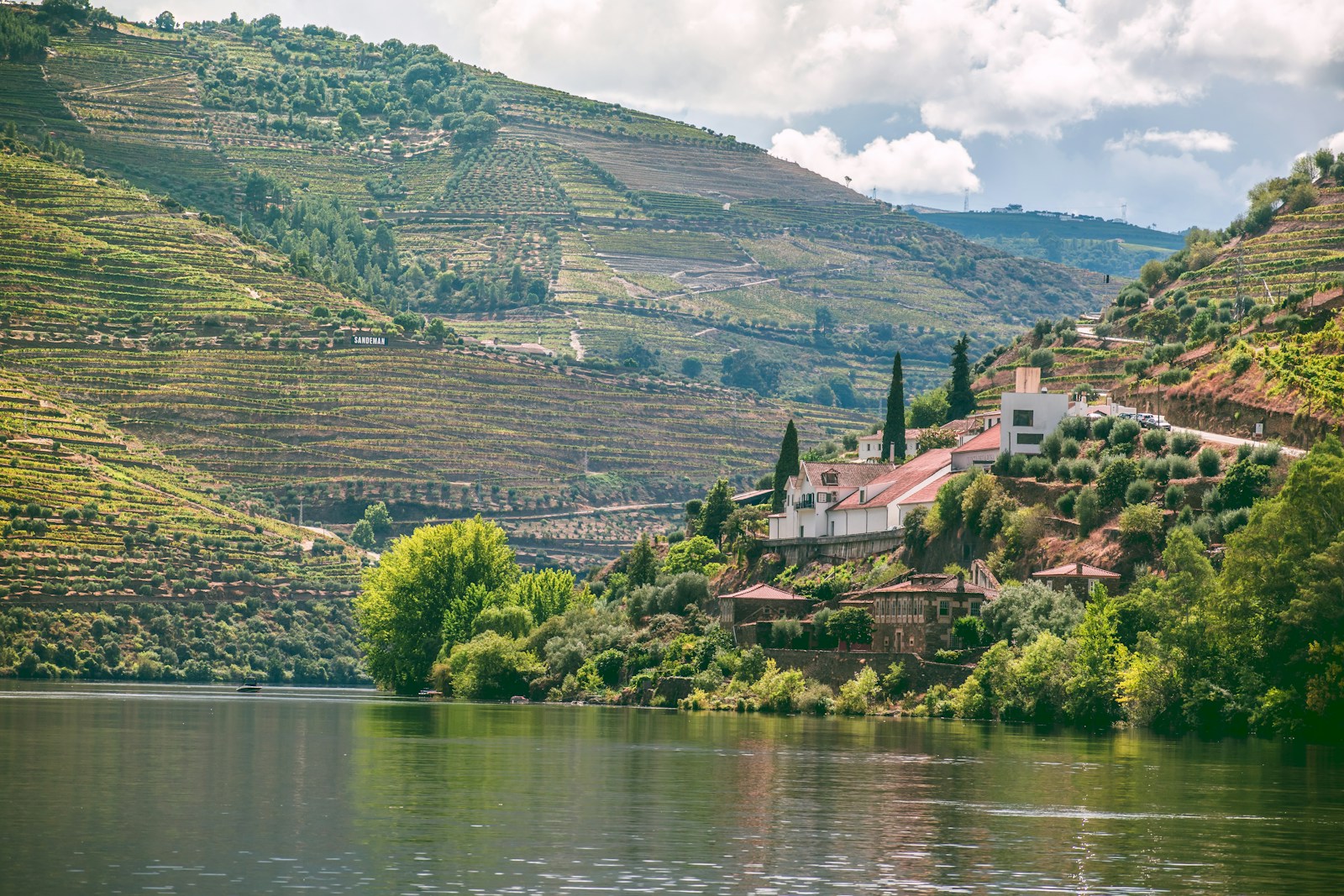 Terraced vineyards descending toward the Douro River in Portugal