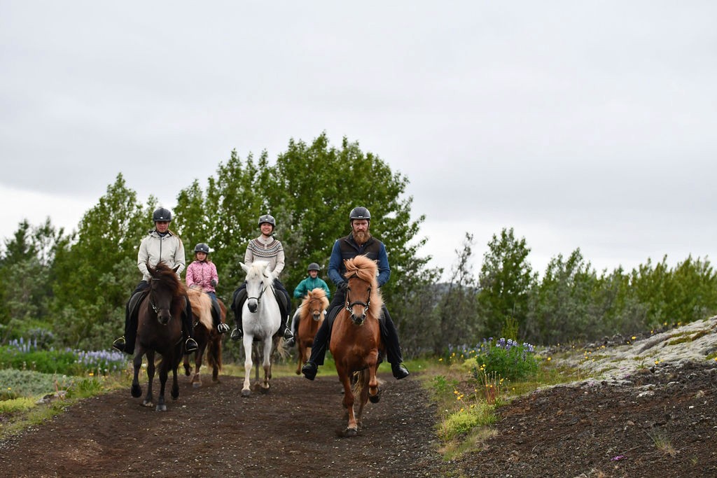 在夕阳下的骑手