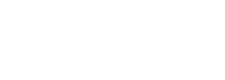 LEVR - Executive Health Coaching