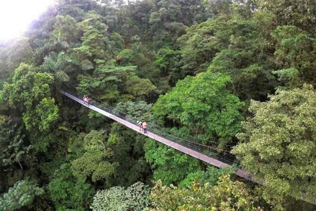 Hanging bridge in Rincón de la Vieja National Park, Costa Rica