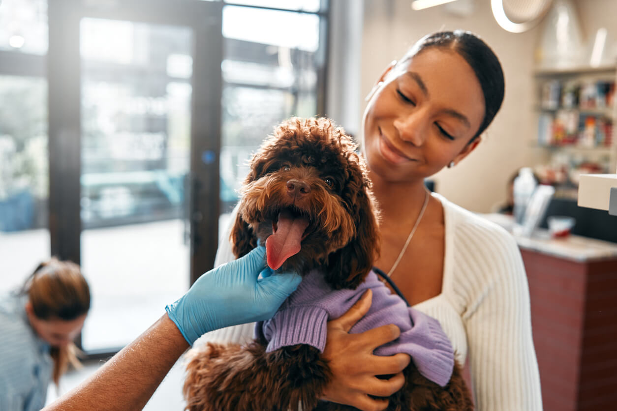 black woman holding dog in vet