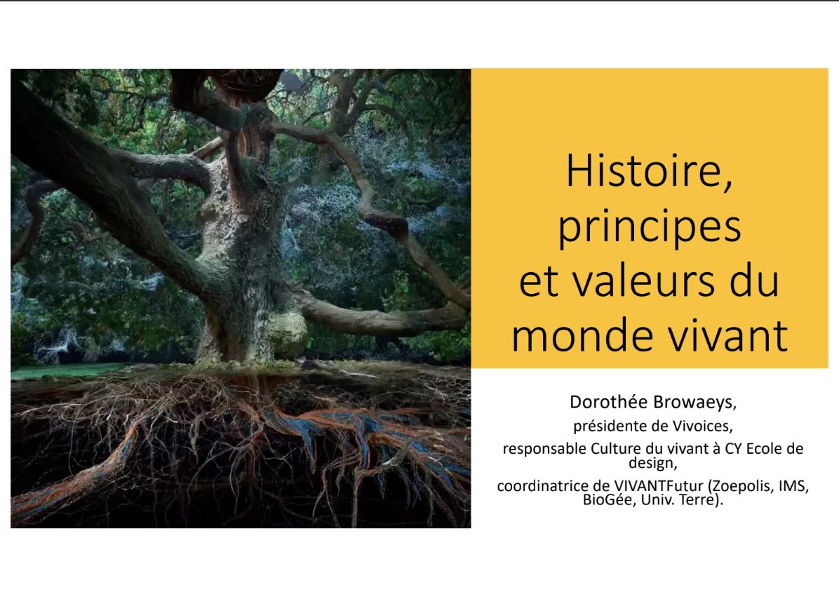 Close-up of lush, dark green leaves, some glossy and wet, against a muted background.