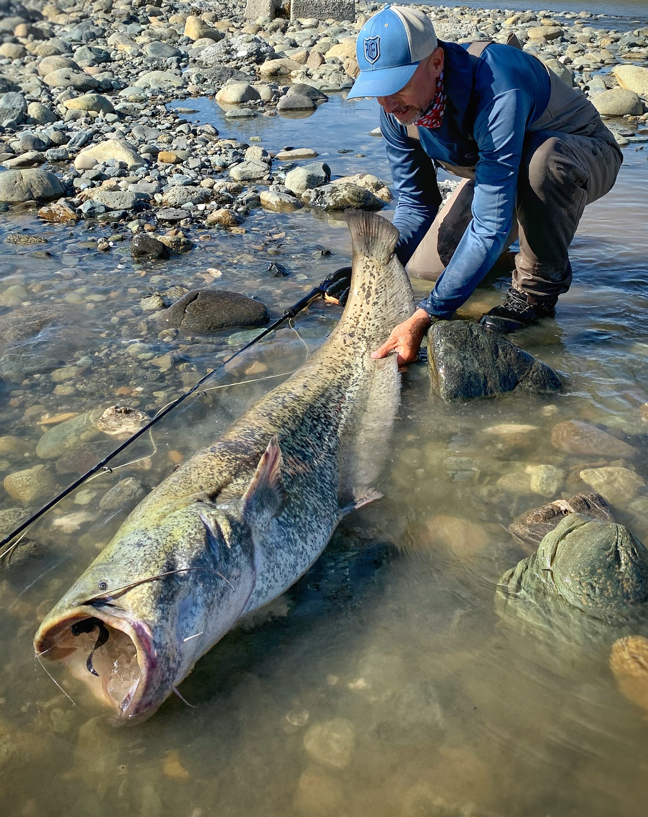 Plan a perfect fishing excursion with fly fishing on the Po River in northern Italy. Enjoy catching massive carp, wels catfish, barb, and asp in beautiful waters. Learn from expert guides skilled in advanced fishing techniques.