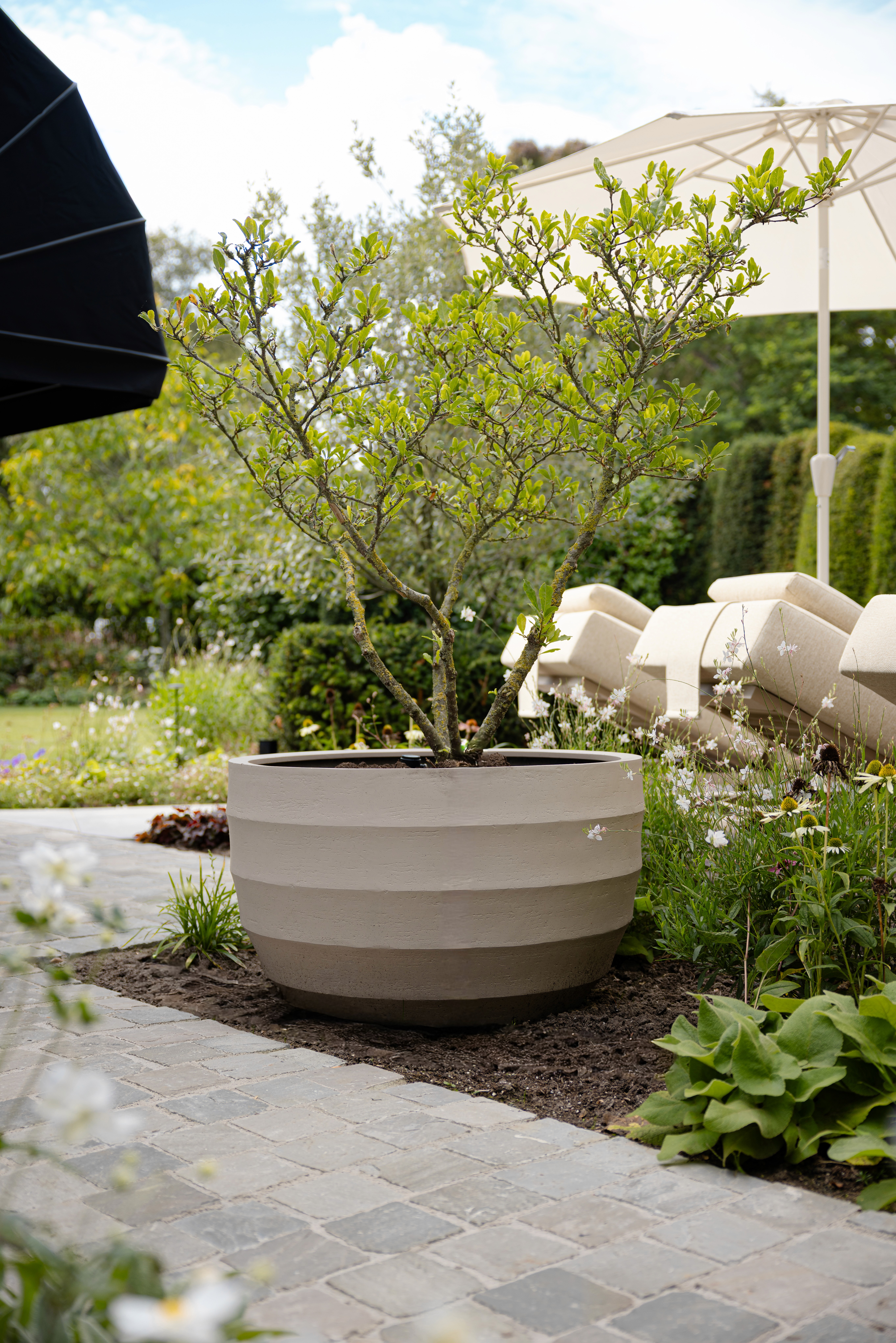 Here comes the alt text