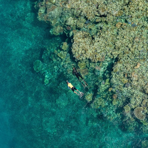 外礁浮潜探险之旅