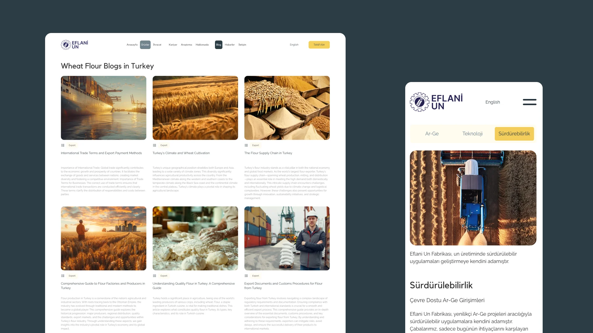 Website showcase mixed