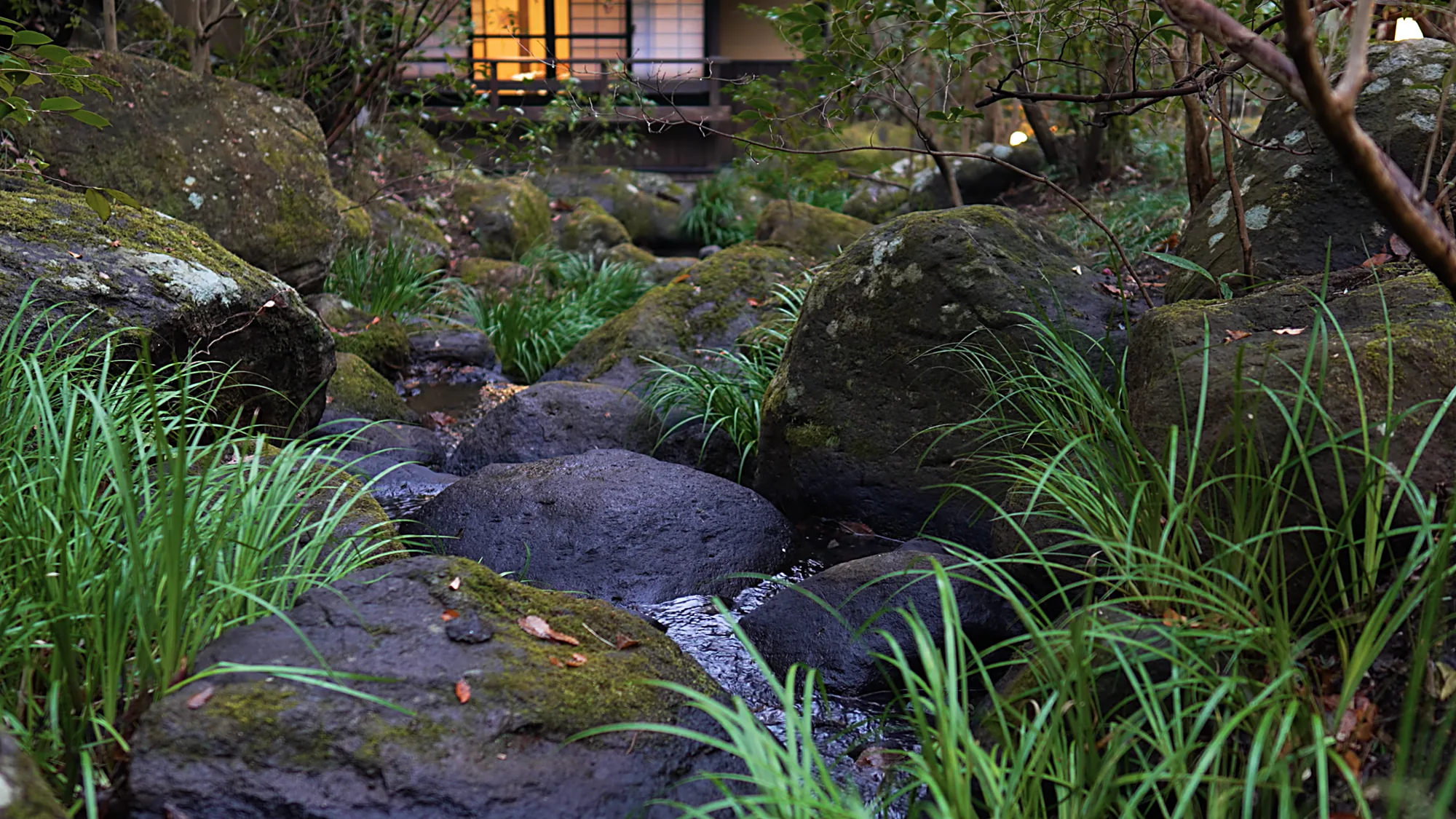 Mossy boulders and iris leaves beside a stream at Kurokawa Onsen