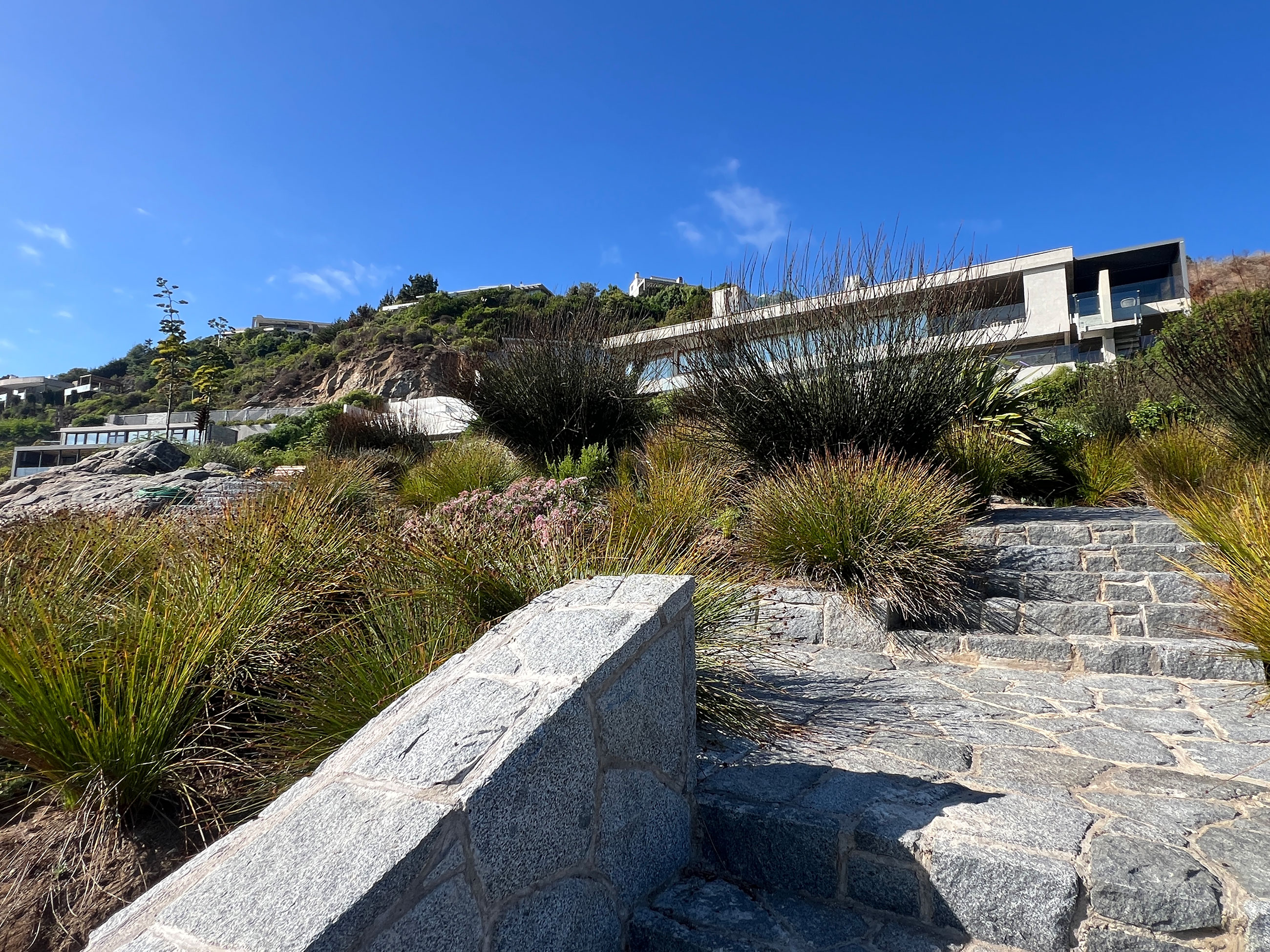 Carola Page Punta Pite Casa Nico