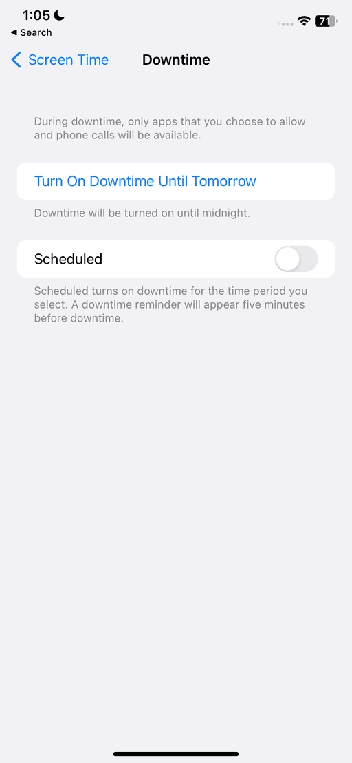 Screen Time Downtime with Scheduled turned off, shown in an older iOS layout