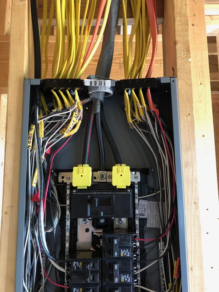 An image of Freelio's project ui