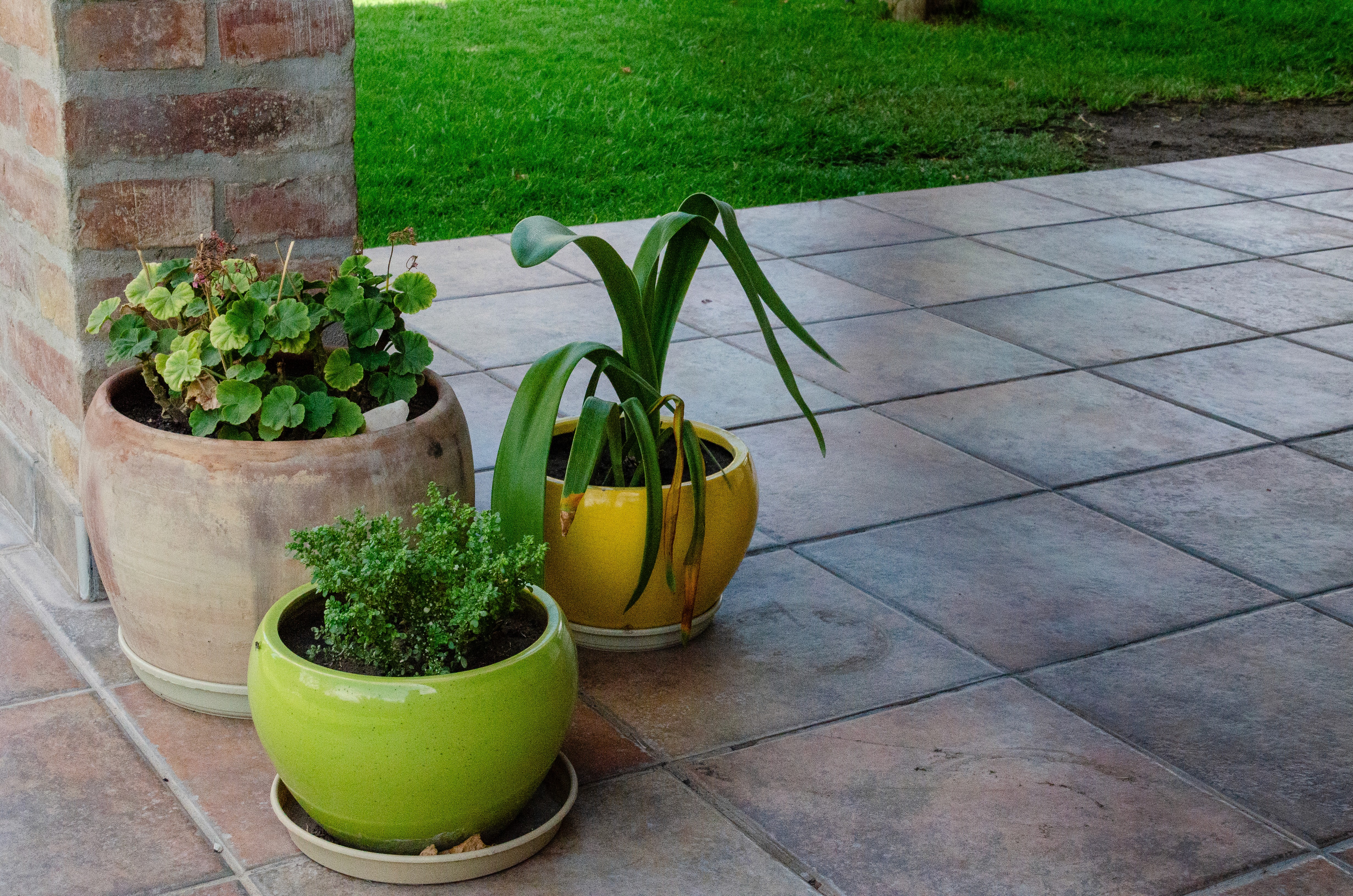 activo-centro-de-dia4