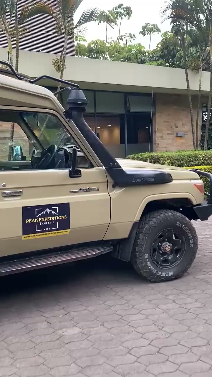 Lone traveler walking across golden dunes in AlUla desert, leaving footprints under clear morning light.