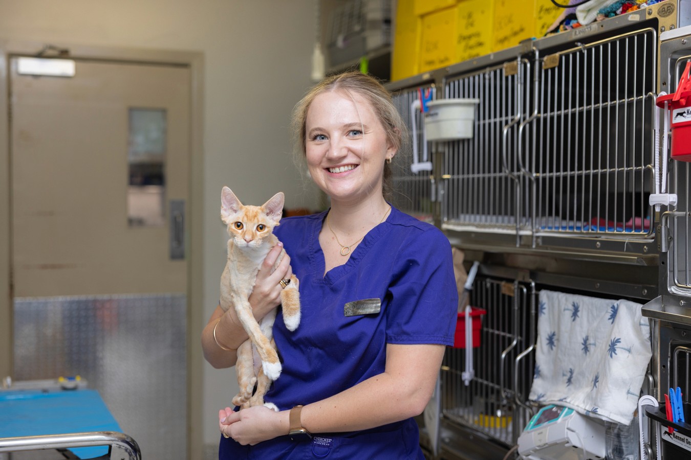 Vet nurse holding ginger kitten