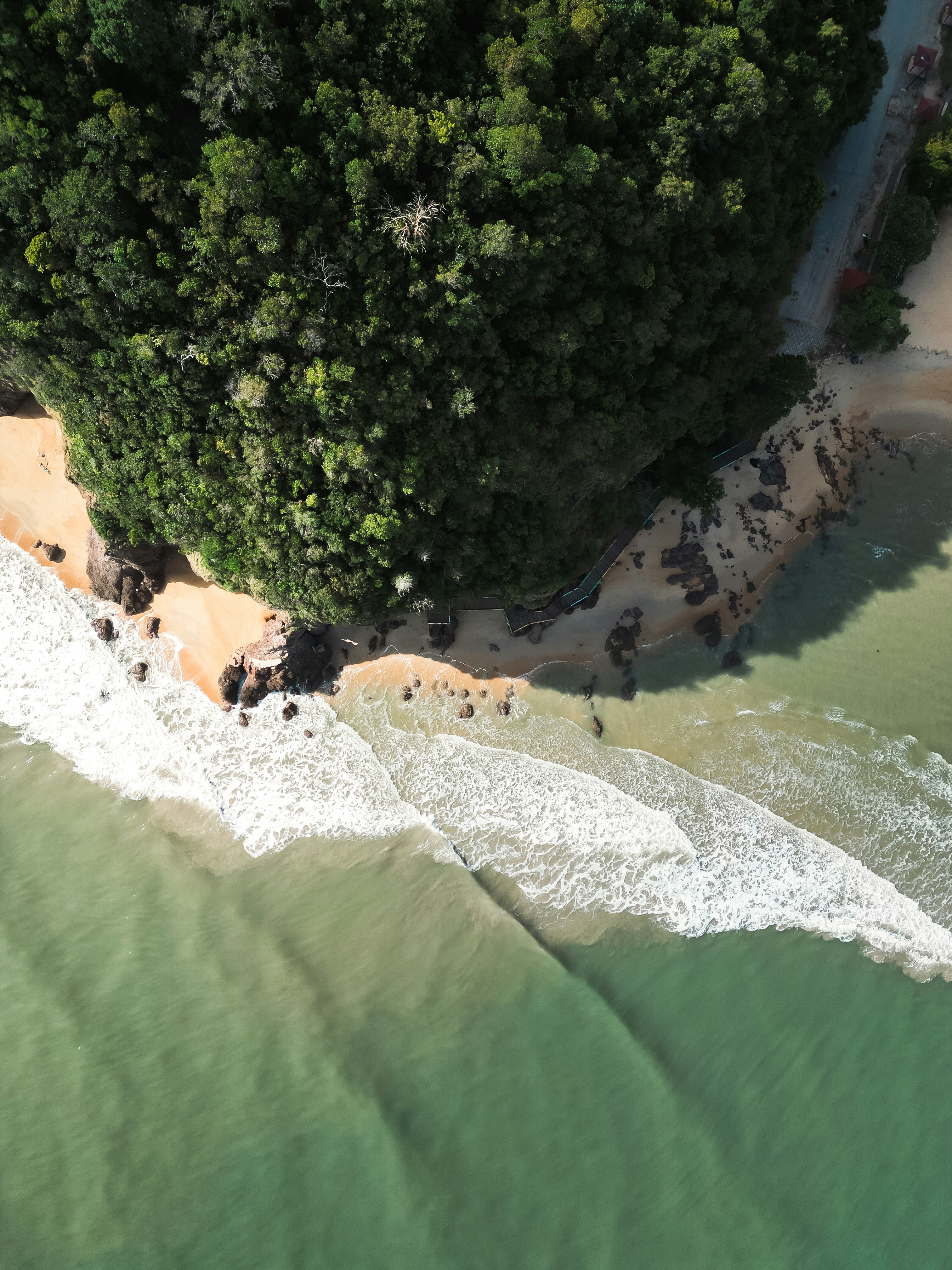 Aerial view of a lush green coastline meeting the ocean.