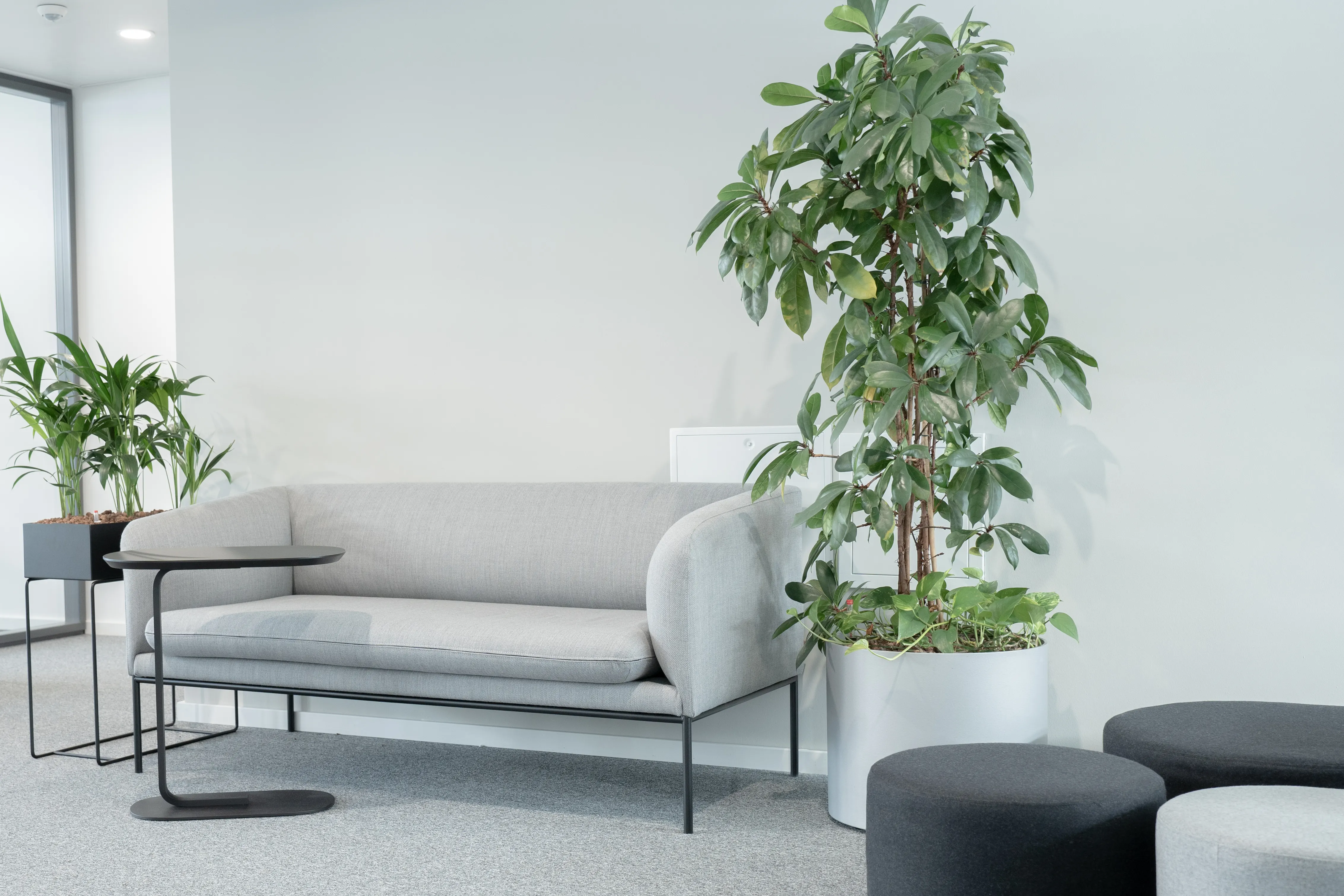 Quiet lounge corner at AI START-UP MUNICH with a light grey two-seater sofa, a black side table, dark grey poufs and tall potted plants in white planters.