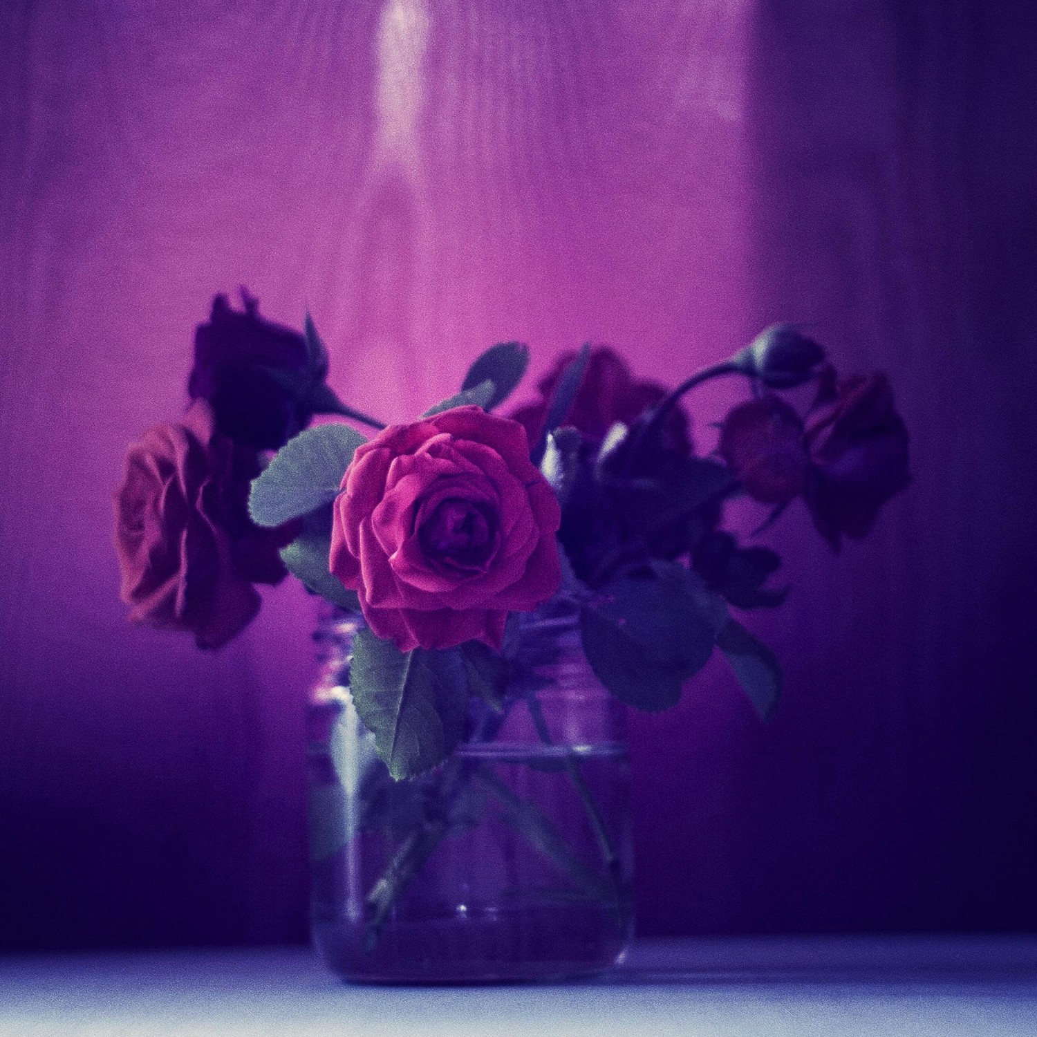Purpleflowers in a vase