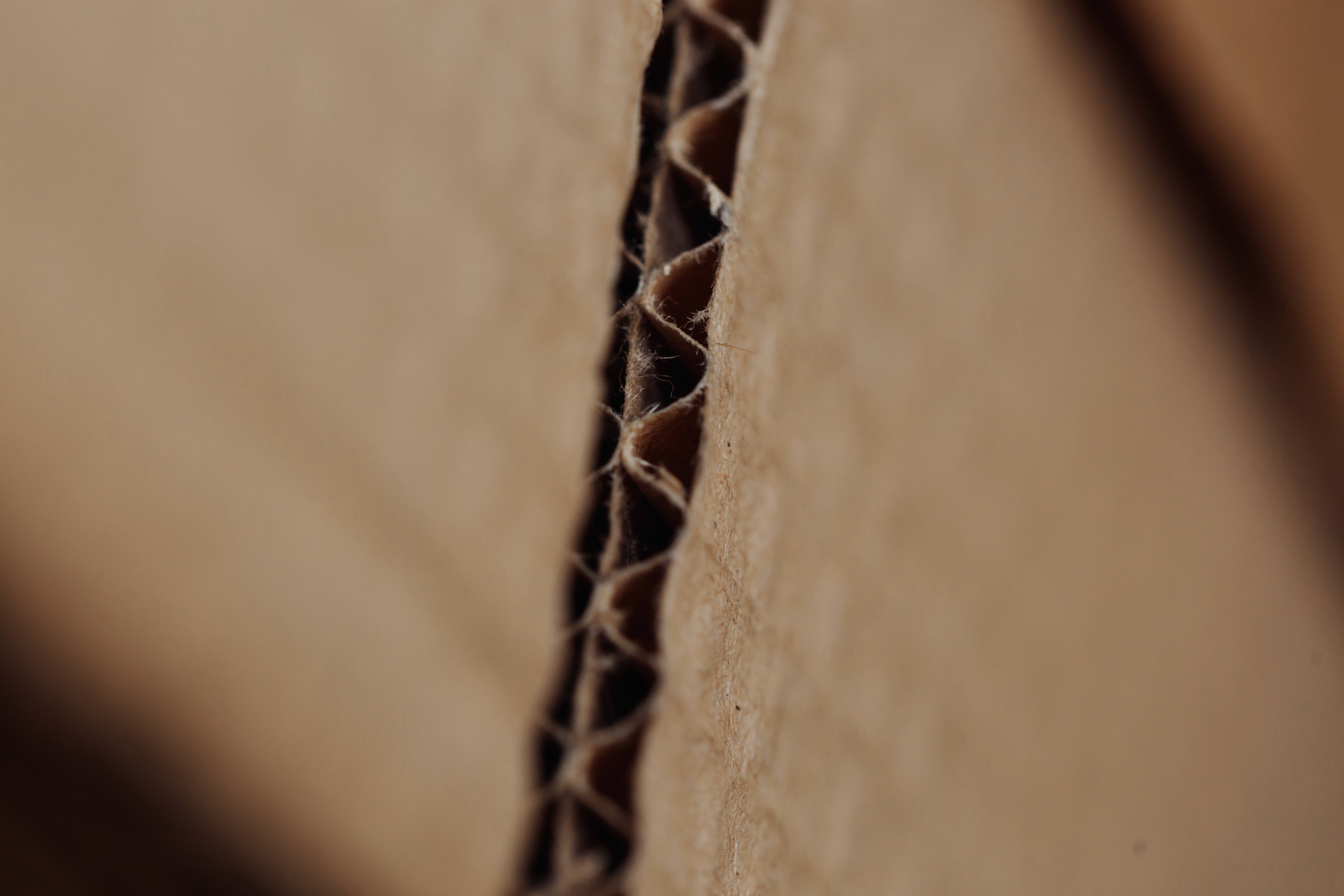 Close up image of cardboard products