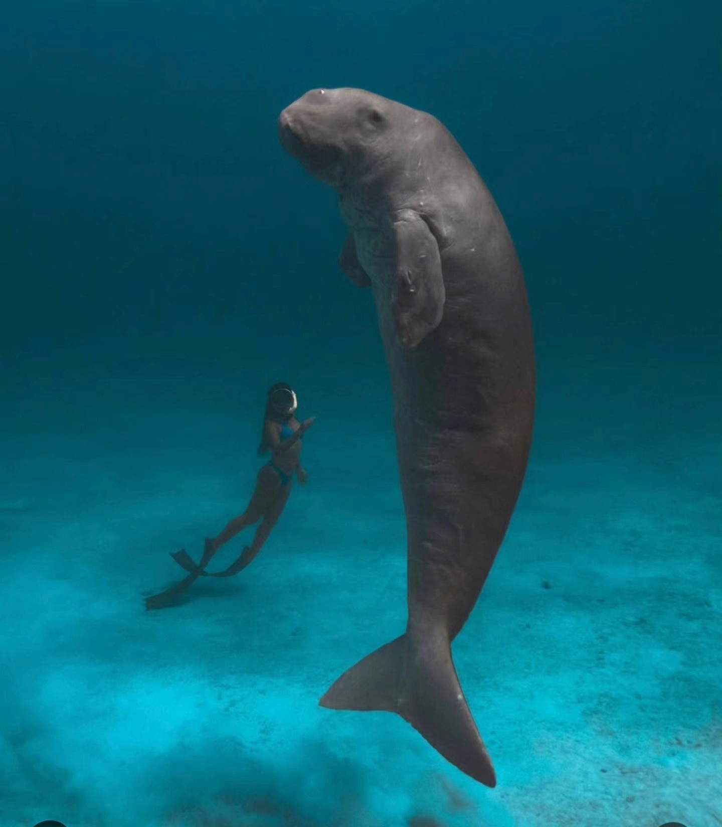 people near TAj Mahal