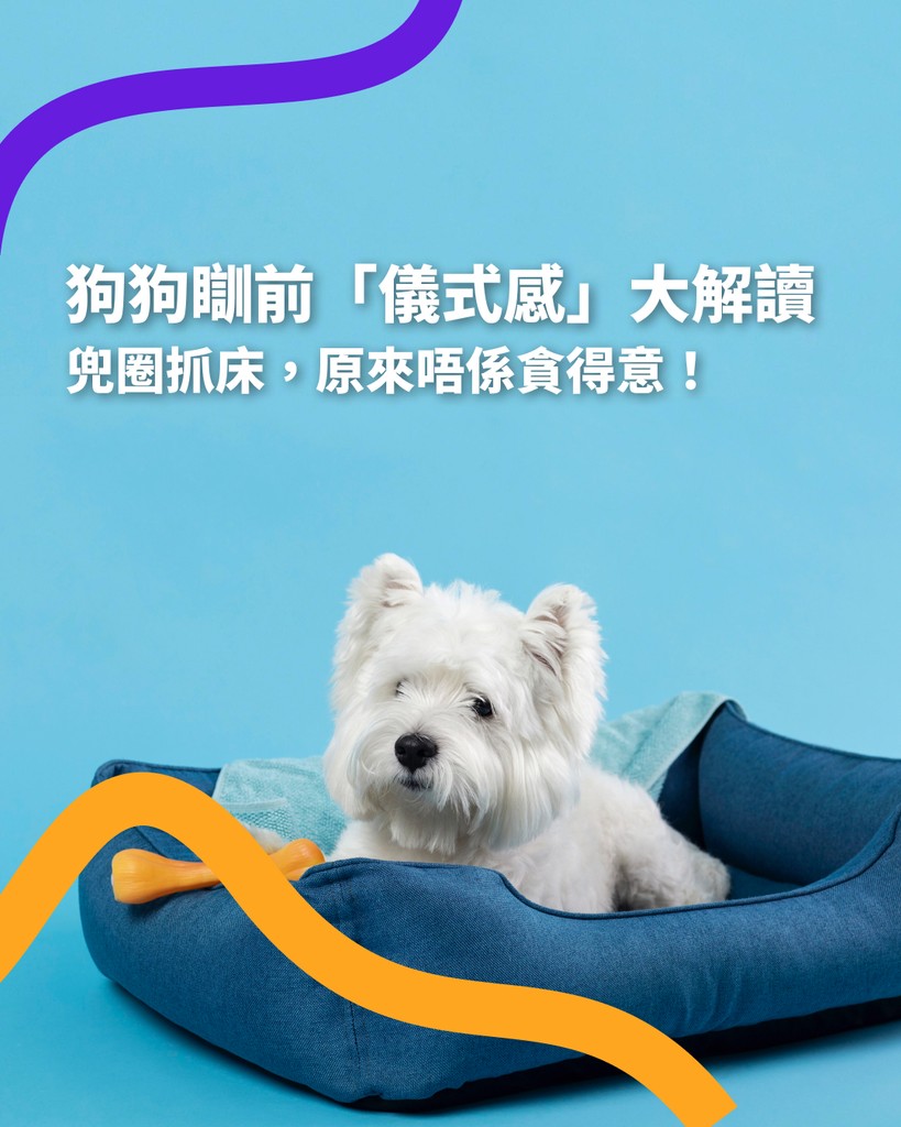 Pet Boo AI blog