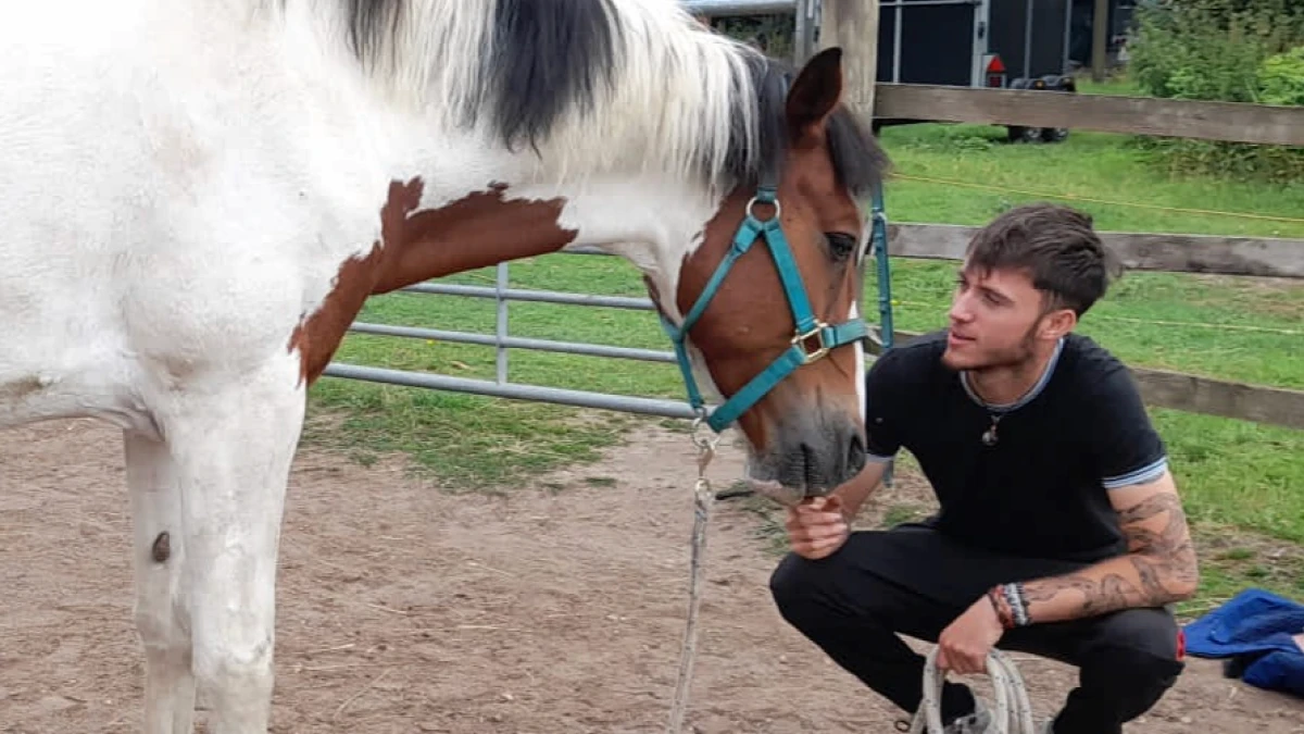 Horse trainer doing ground work with a horse