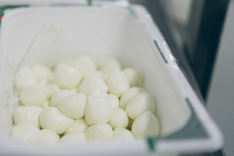 Mozzarelle