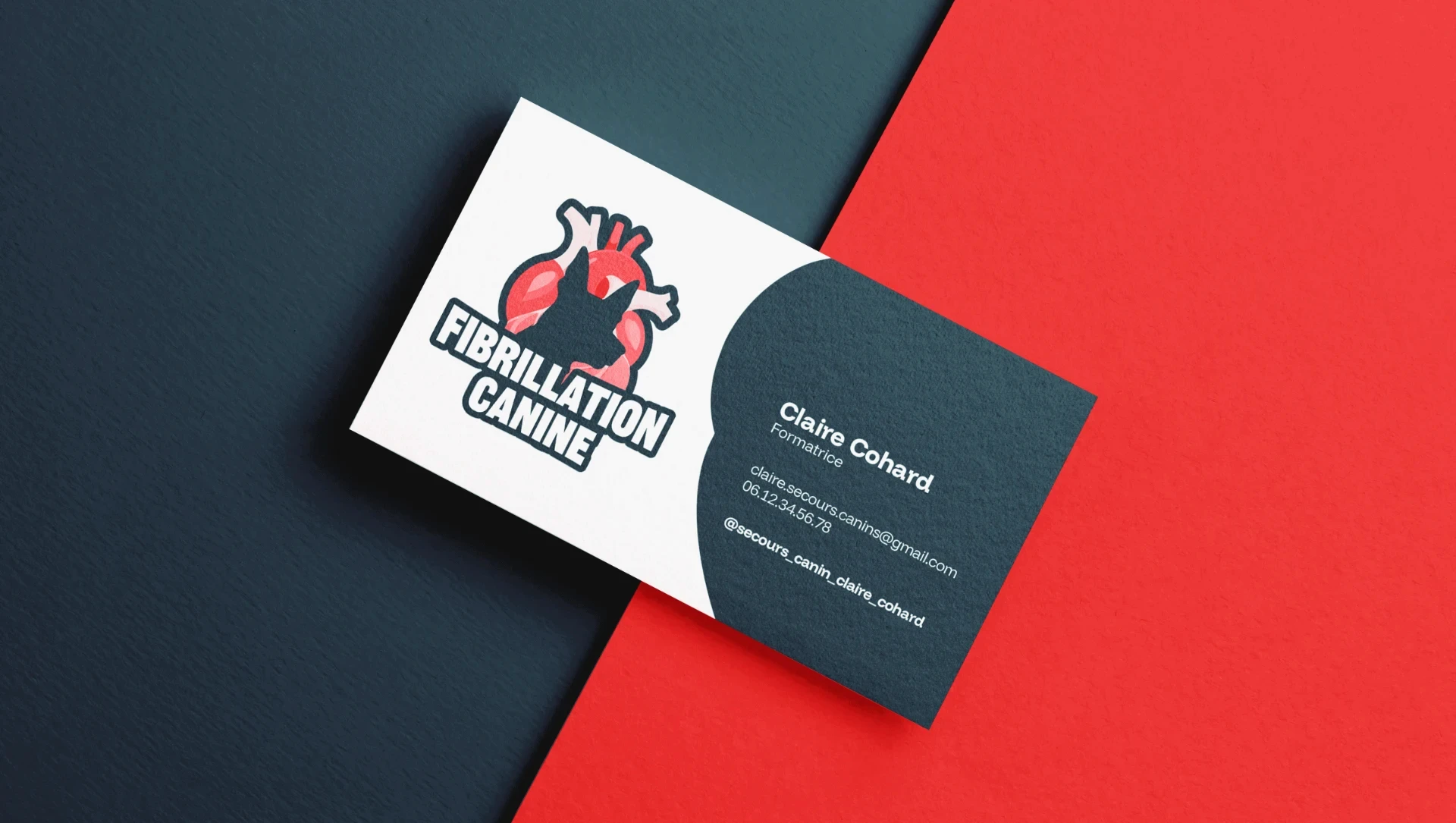 Carte de visite pour Fibrillation Canine, organisme de formation aux gestes de premiers secours pour chiens